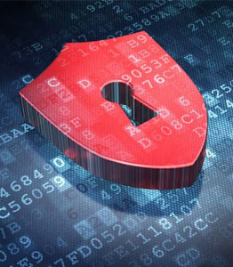IP Enforcement