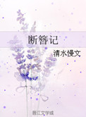 断簪记讲了什么
